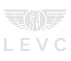 LEVC-VAN_logo-2